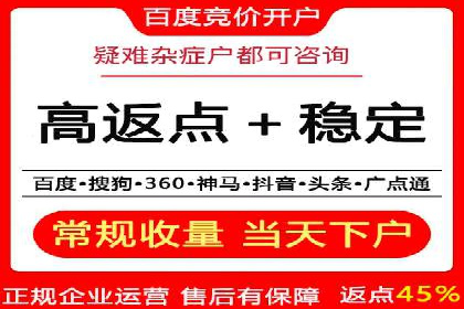 成功案例解析：SEM竞价托管的优化之路